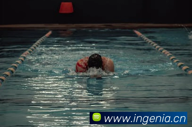 App Interface Preview